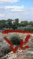  1 ارض سكنية مساحة 660 متر صافي