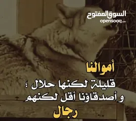  1 ابحث عن شقة