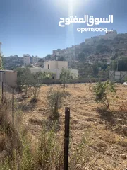  2 ارض للبيع مميزة في دويربان واد الزرزير