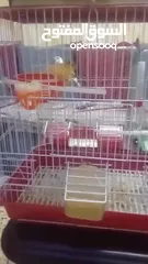  3 طيرة وفحول ومخاليف للبيع التسليم جبل القصور