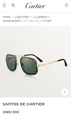  19 Cartier sunglasses