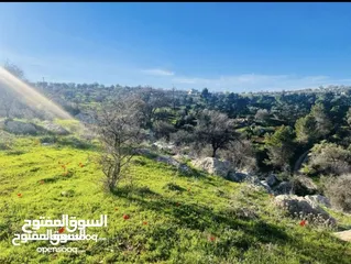  4 ارض زراعيه للبيع في اجمل مناطق العالوك