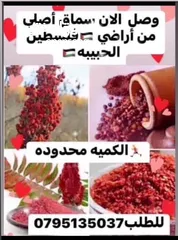  7 جبنه نابلسيه غنم ومعمول وكعك ودحدح وهريسه وكيك ومكدوس وورق عنب وملوخيه ودبس رمان وخروب  وعسل وزيتون
