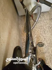  12 بسكاليت للبيع  البسكيلت بحالة جيدة جدا الموقع قرية أبو نصير جنط 26 البسكيلت امريكي