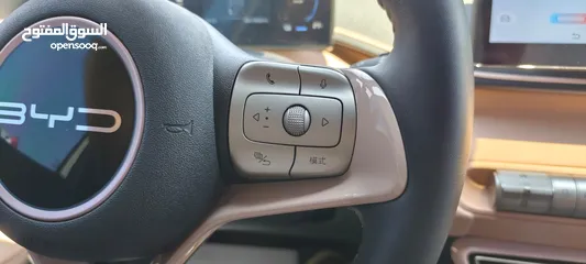  10 BYD SEAGULL 2023