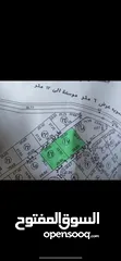  2 ارض للبيع في نابلس - طلوزة  نمرتين 2 دونم  تابع اراضي طلوزة