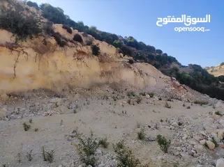  8 ارض للبيع 1000 متر طابو ابو نجيم