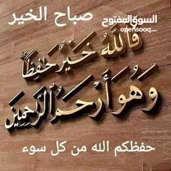  1 موجود زغاليل وديك هزاز اسود وفرخه بالوني