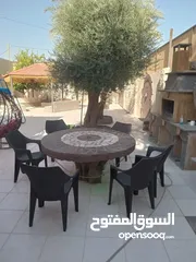  11 شاليه لايجار ابتداءا من 60 دينار الجوفة