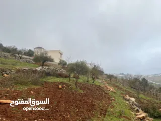  4 ارض للبيع في الأردن - عجلون