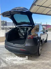  10 Tesla Y Long Range Dual Motor 2023