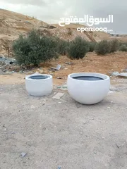  10 قواوير فايبر جلاس بشكل عصري أنيق #قواوير فايبر جلاس  #نباتات زينة ومثمر داخلي وخارجي  #إشراف مهندسين