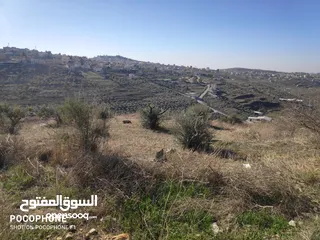  2 قطه ارض للبيع في تل مقابل عين المزاب قريبه من دوار نابلس الجديده