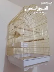  2 قفص ببغاء ذهبي