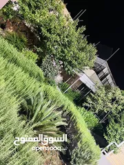  21 مزرعه الريان عمان منطقة ناعور تبعد 15 دقيقه عن الدوار السابع