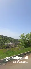  10 مزرعه مع بيت راقيه راس منيف موقع مميز مطله و بسعر مغري جدا