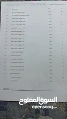  17 تويوتا بريوس C موديل 2014