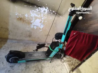  5 سكوتر. Tier  نابلس