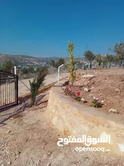  10 مزرعة للبيع من اراضي غرب عمان  منطقة البصة (ابو السوس ) للبيع بسعر مغري