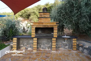  29 مزرعة بلاك سوان للايجار-Black Swan Farm