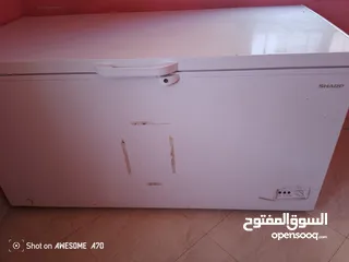  1 فريز مجمدة مسطحة 2019