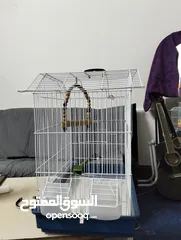  4 قفص عصفير بحاله جديدة