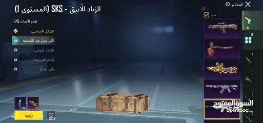  18 حساب ببجي