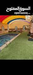  1 مزرعة وشاليه الاسود للإيجار ....غور الكفرين