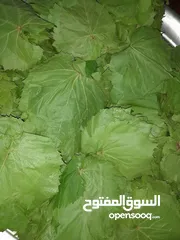  2 طبخات بيتية بايدي ماهرة مجموعة كبيرة من الحلويات الباردة والسخنة