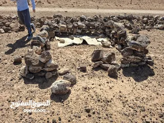  1 ارض مساحه 10 دنم