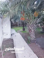  10 بيت للبيع في الحصن "قوشان مستقل" على مساحة ارض 908 م2 قرب شارع اربد عمان الرئيسي وصيدلية الشتاء