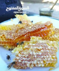  21 يوجد عسل طبيعي مكفول 100٪ من جبال عجلون _ عرجان