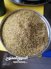  6 غذاء ملكات حبوب لقاح عسل طبيعي