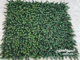  24 جداريات تشكيلي يحاكي الطبيعة