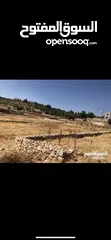  9 دنم ارض للبيع في السلط الصبيحي ميسره بالقرب من مطعم الطلع الغربيه