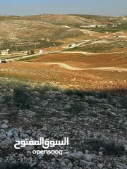  14 للبيع قطع مفروزة طريق الزرقاء اربد منطقة بلعما واصل خدمات