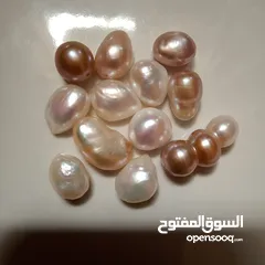  7 12لؤلؤة ساحرة طبيعية و ليست مزروعة