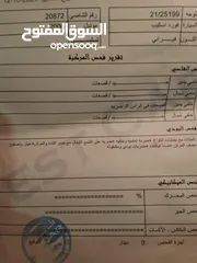  6 فورد سكيب 2006