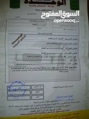 9 أكسنت موديل 1999
