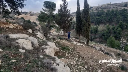  2 ارض للبيع في دورا ،الصره