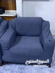  23 كفرات كنب قطتي جاكار ضد المي