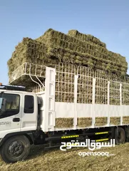  7 نقل عام اثاث نقل حشاش نقل مواد البناء مواد زراعية نقل علئ حسب الاغراض والمسافة