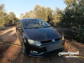  11 بولو جير عادي الحبة النادرة باللون و الجمال و الفحص
