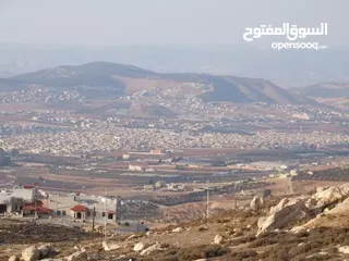  3 بيت للبيع في مخيم اربد
