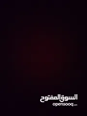  26 حساب فري فاير للبيع قديم ومشحون عليه كثير