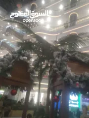  10 محل للايجار في. الطائره. علي الشارع الرئيسي مباشرة