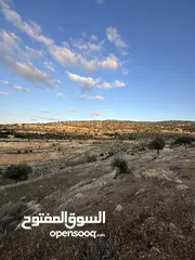  7 ارض بالعالوك مساحة 3 دونم و 400 متر في اجمل مناطق المحمر  للمهتمين : الاتصال على الارقام يلي بالوصف