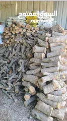  2 حطب زيتون/لوزيات ناشف