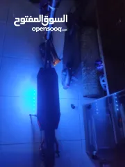  5 سكوتر kaabo mantis 10 52v 18 ah سكوتر بتوصل سرعته من 60ل65 سكوتر بالصلاه على رسول الله