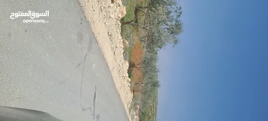  7 ارض للبيع ناعور الجديده حوض البويضه بالقرب من مدارس الجاليات ومدرسه ايبك قطعه سكنيه للفلل
